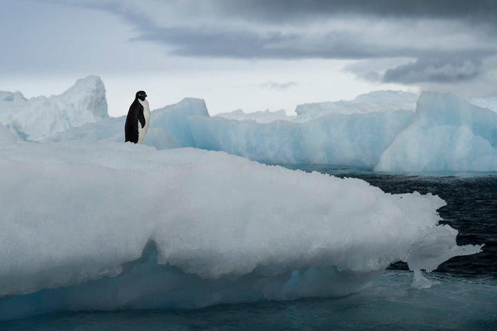 Antarctica – An Adventure