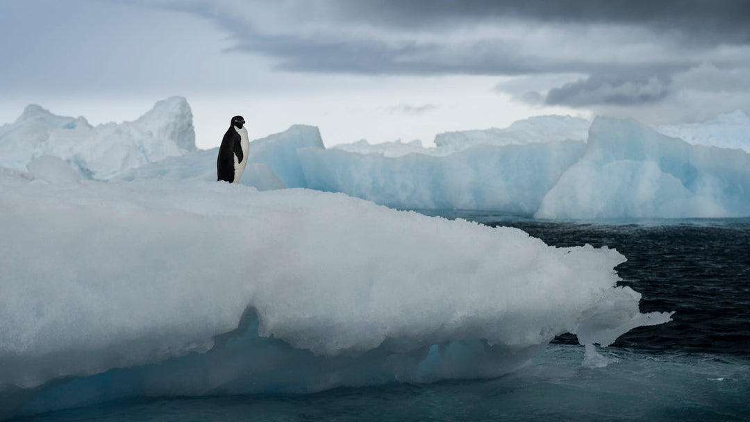 Antarctica – An Adventure