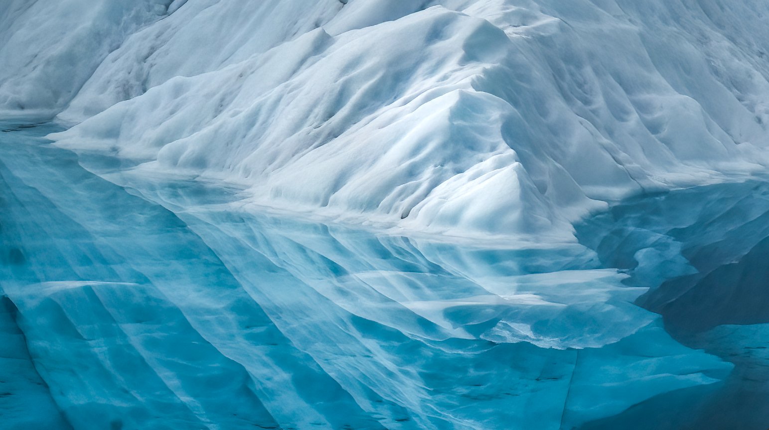Glacier Portraits - Gallery