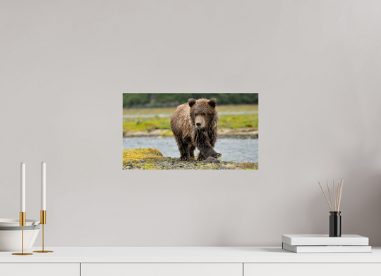 16 x 9″, Hahnemulhle Fine Art Pearl Youthful Confidence