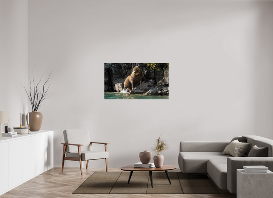 49 x 27.6″, Hahnemuhle Photo Silk Barta X Coastal Brown Bear - Power