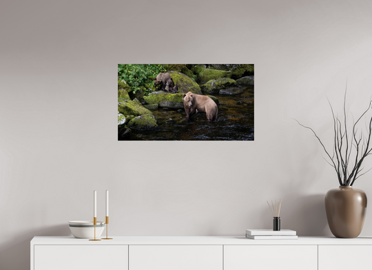 Alaskan Bear