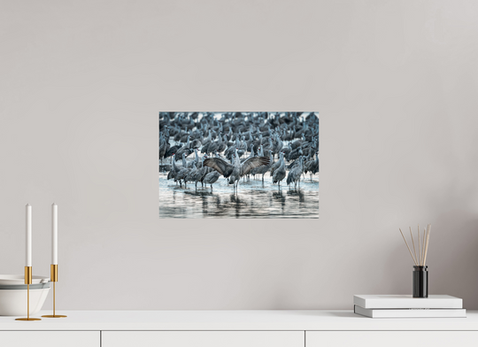 15 x 10″, Hahnemuhle Photo Silk Barta X Majestic