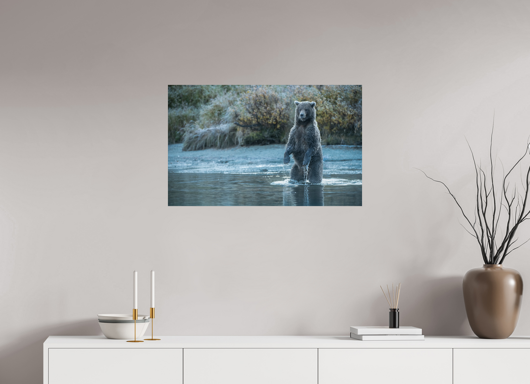 32 x 20″, Hahnemuhle Photo Silk Barta X Coastal Brown Bear - Investigating