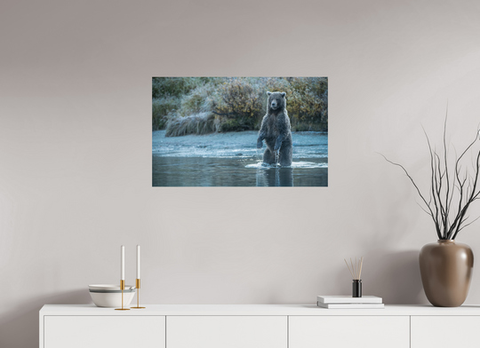 32 x 20″, Hahnemuhle Photo Silk Barta X Coastal Brown Bear - Investigating