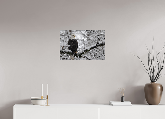 24 x 16″, Hahnemuhle Photo Silk Barta X Bald Eagle in Snow