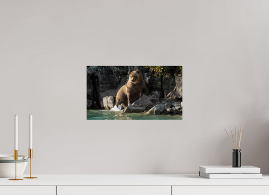 16 x 9″, Hahnemuhle Photo Silk Barta X Coastal Brown Bear - Power