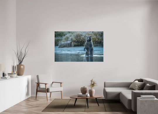 64 x 40″, Hahnemuhle Photo Silk Barta X Coastal Brown Bear - Investigating