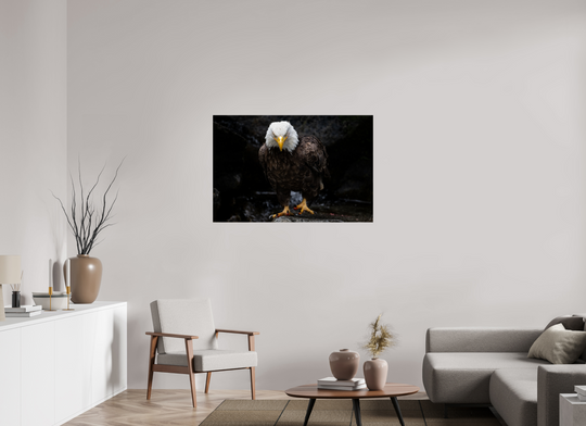 45 x 30″, Hahnemuhle Photo Silk Barta X Bald Eagle Portrait