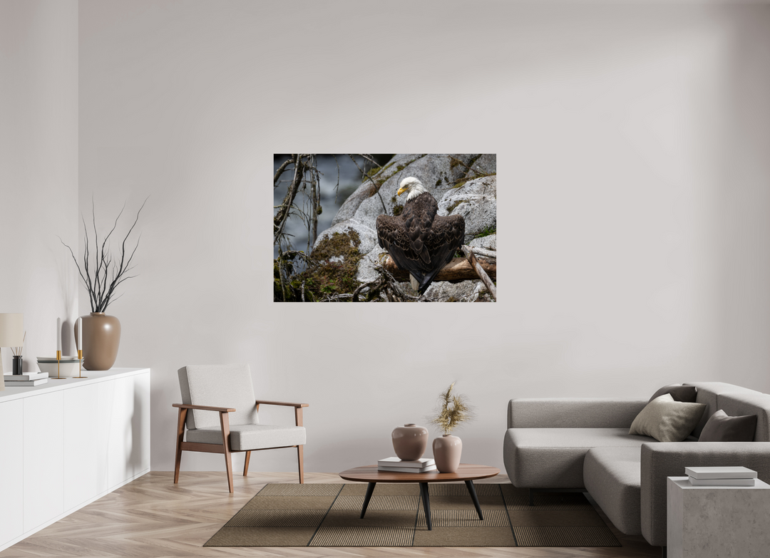60 x 40″, Hahnemuhle Photo Silk Barta X Bald Eagle -- Observing