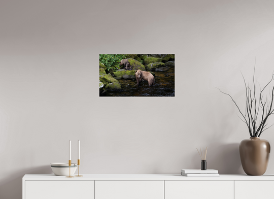 Alaskan Bear