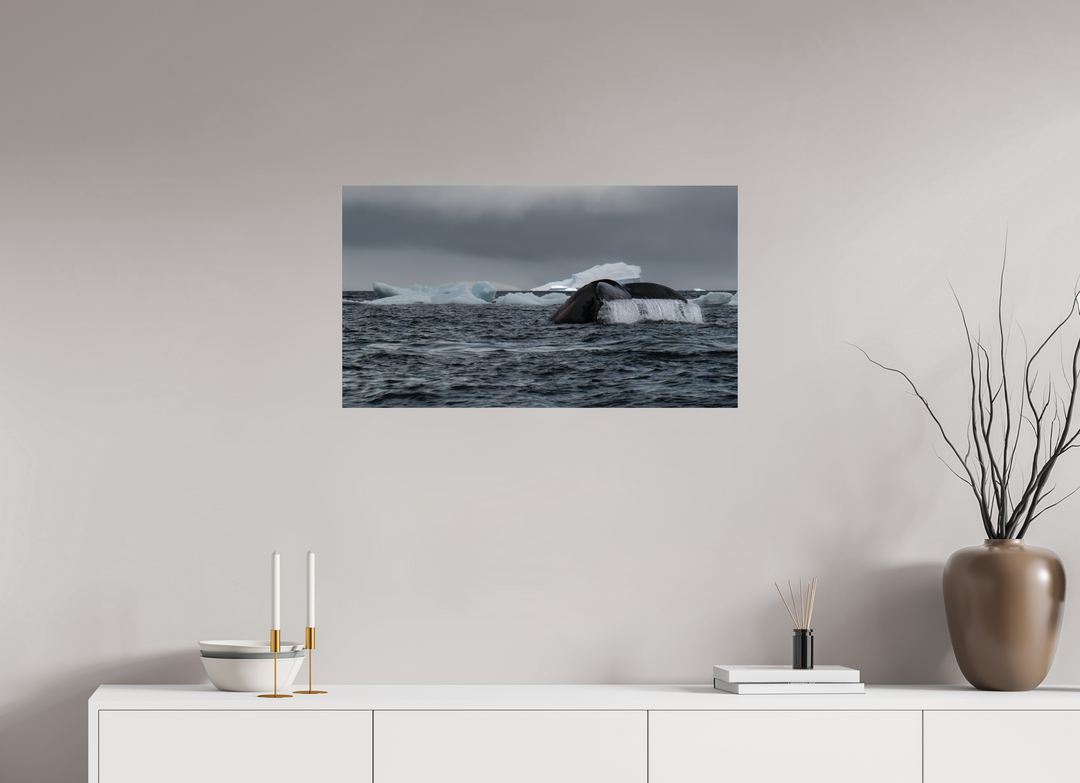 32 x 18″, Canson Baryta Prestige II Amongst Icebergs