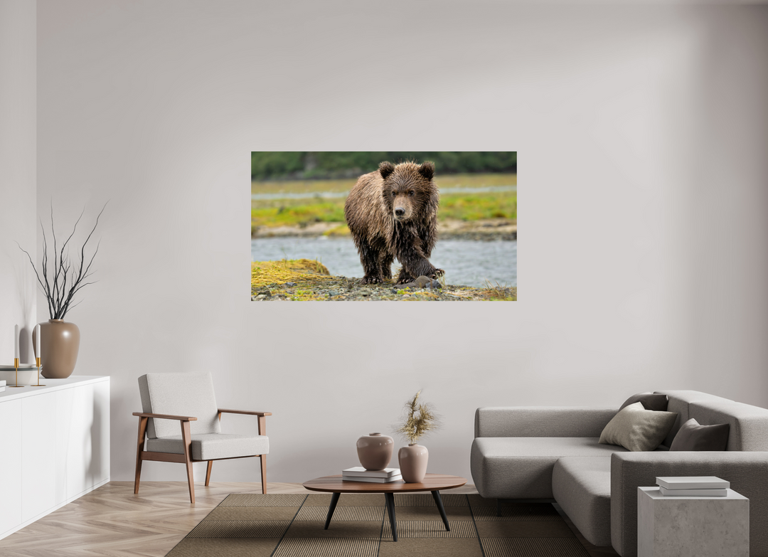 70 x 39.4″, Hahnemulhle Fine Art Pearl Youthful Confidence