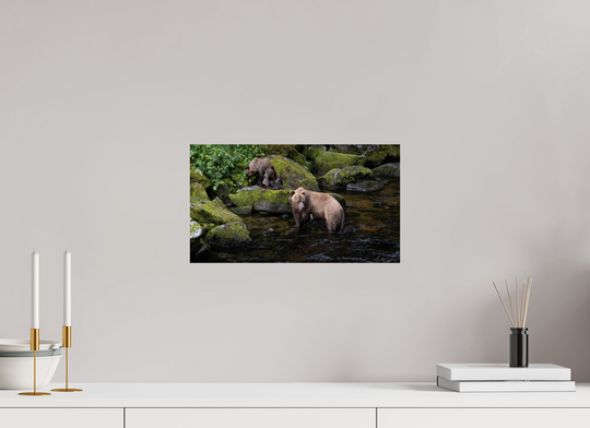 Alaskan Bear