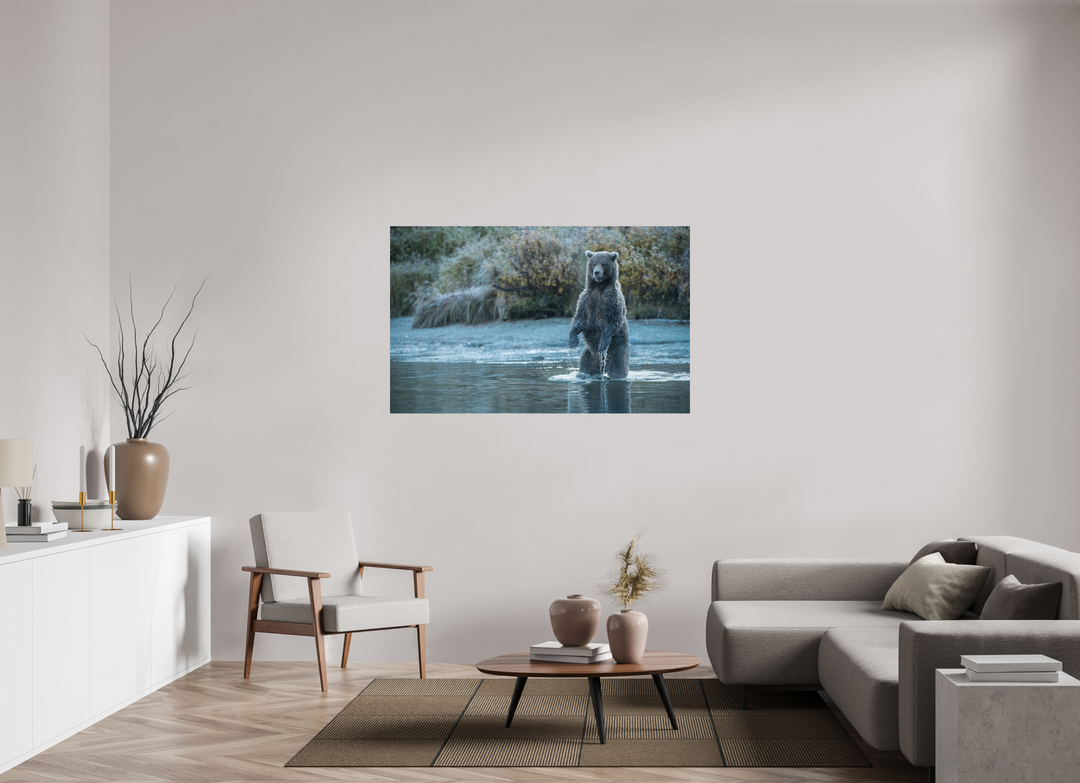 57.6 x 36″, Hahnemuhle Photo Silk Barta X Coastal Brown Bear - Investigating