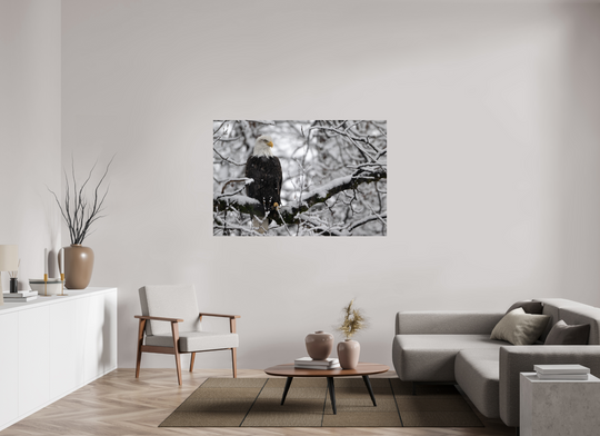 60 x 40″, Hahnemuhle Photo Silk Barta X Bald Eagle in Snow