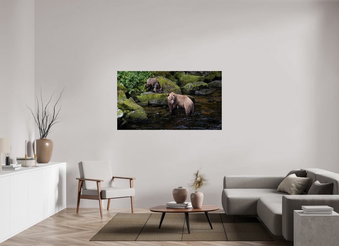 Alaskan Bear