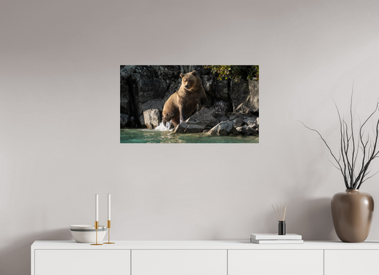 32 x 18″, Hahnemuhle Photo Silk Barta X Coastal Brown Bear - Power