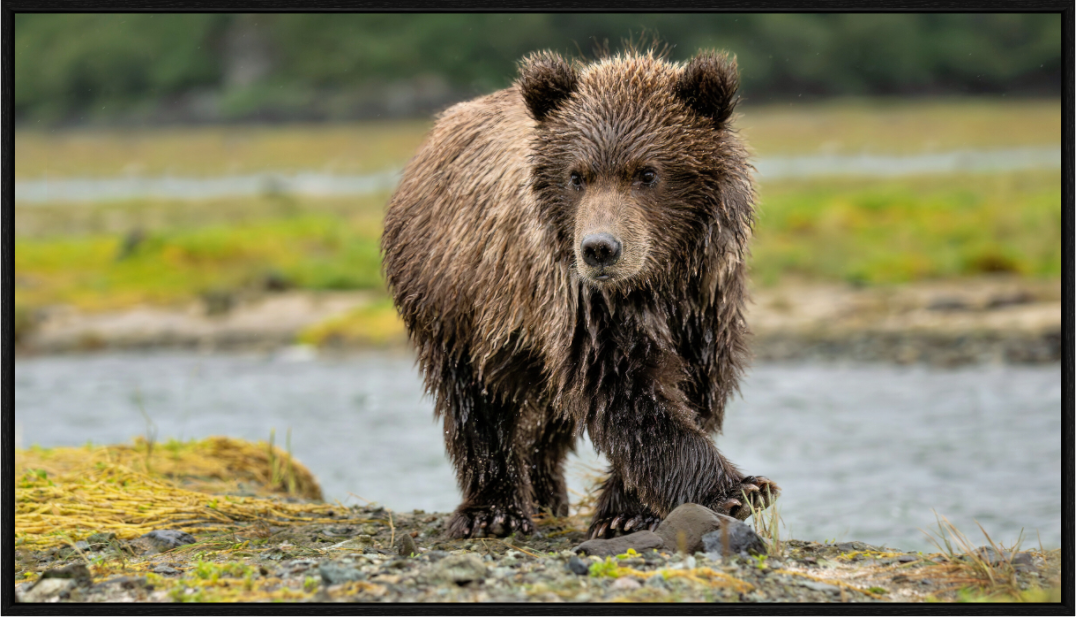 Main image Youthful Confidence