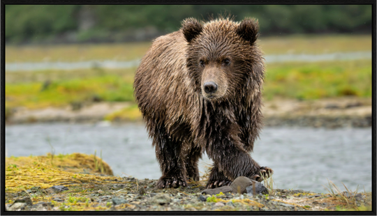 Main image Youthful Confidence