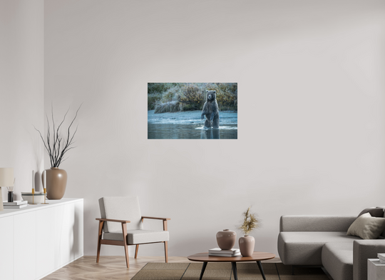 38.4 x 24″, Hahnemuhle Photo Silk Barta X Coastal Brown Bear - Investigating