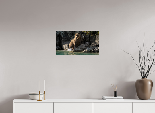 24 x 13.5″, Hahnemuhle Photo Silk Barta X Coastal Brown Bear - Power