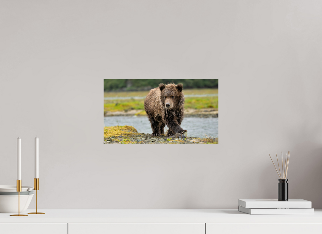 16 x 9″, Photo Print On Fuji Crystal DP II Youthful Confidence