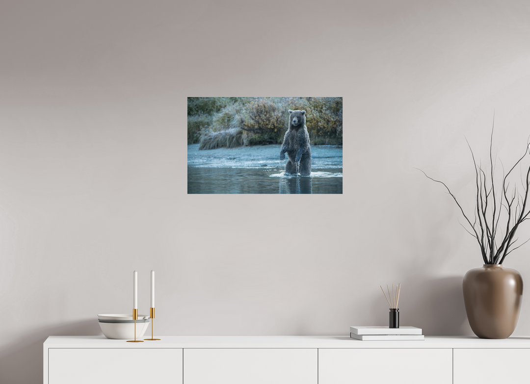 25.6 x 16″, Hahnemuhle Photo Silk Barta X Coastal Brown Bear - Investigating