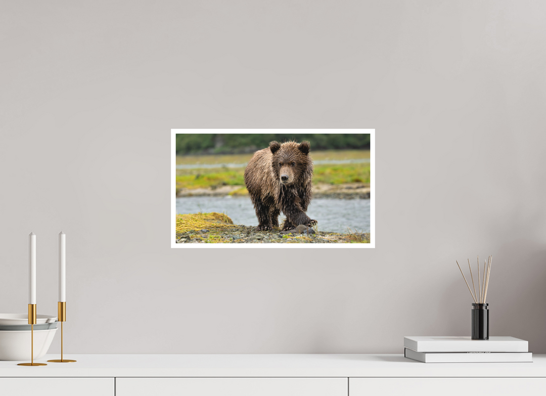 16 x 9″, Hahnemulhle Photo Rag Youthful Confidence