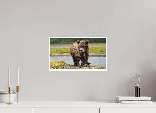 16 x 9″, Hahnemulhle Photo Rag Youthful Confidence