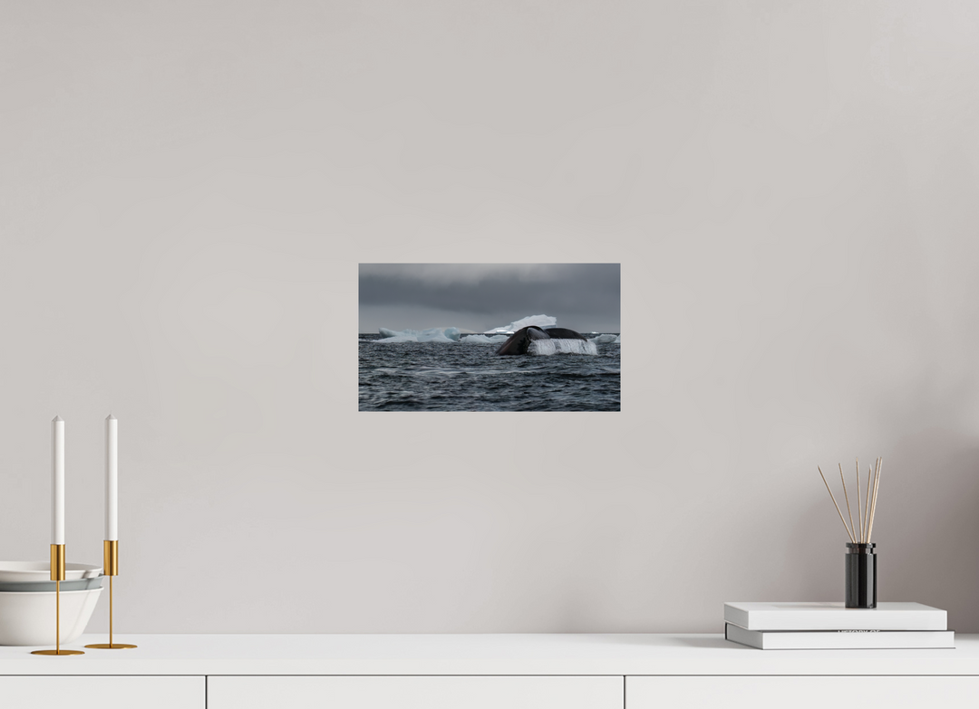 12 x 6.8″, Canson Baryta Prestige II Amongst Icebergs
