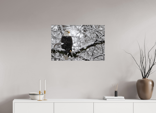 30 x 20″, Hahnemuhle Photo Silk Barta X Bald Eagle in Snow