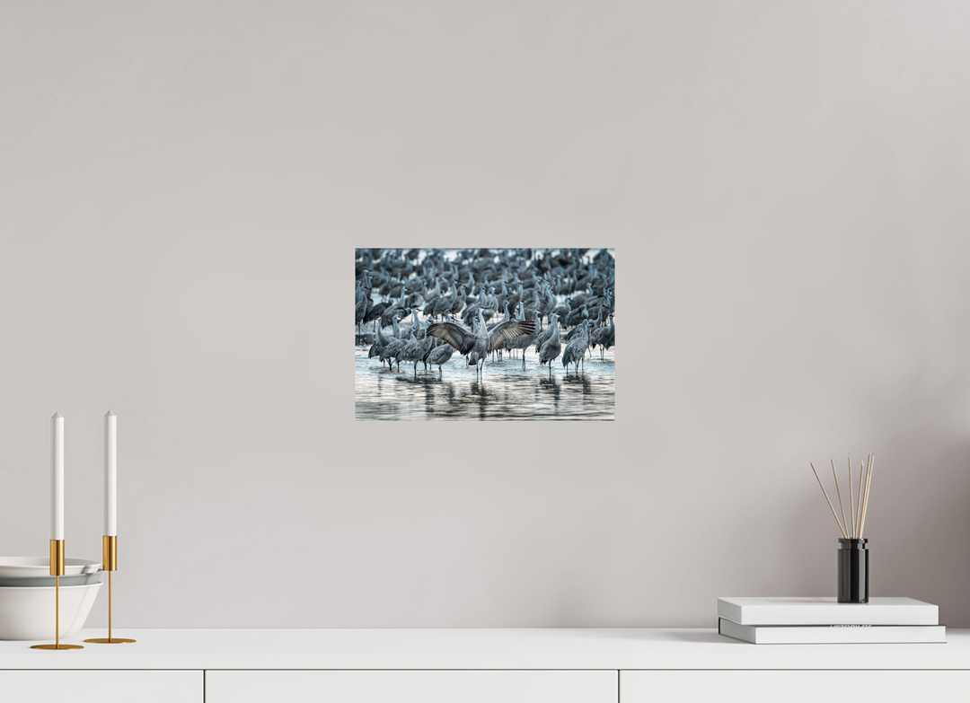 12 x 8″, Hahnemuhle Photo Silk Barta X Majestic