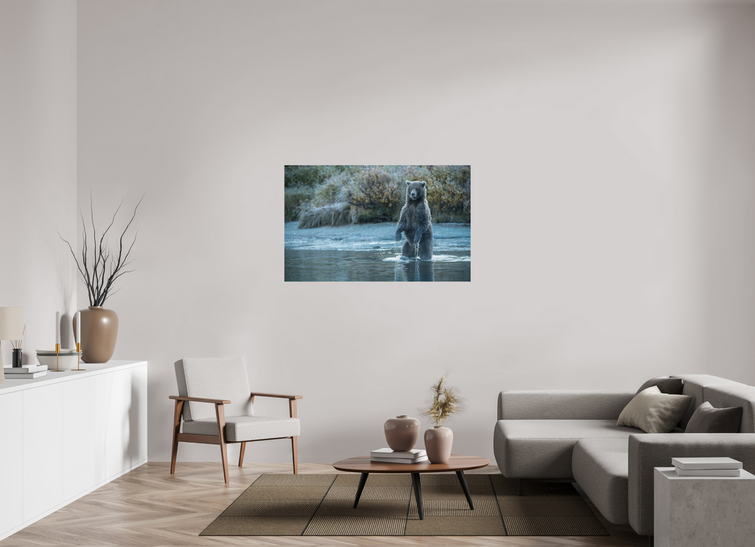 51.2 x 32″, Hahnemuhle Photo Silk Barta X Coastal Brown Bear - Investigating