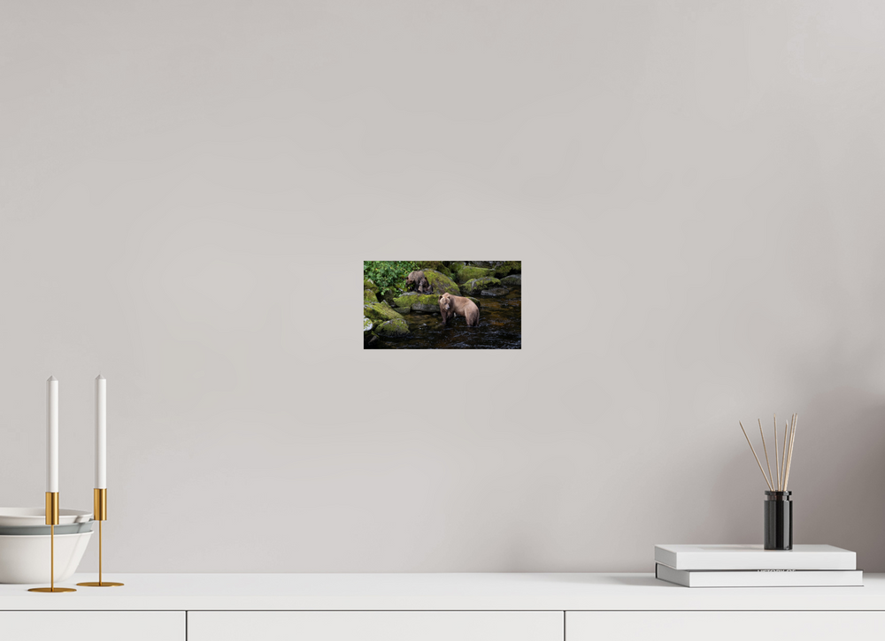 Alaskan Bear