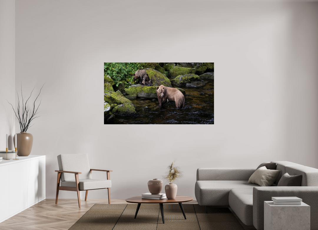 Alaskan Bear