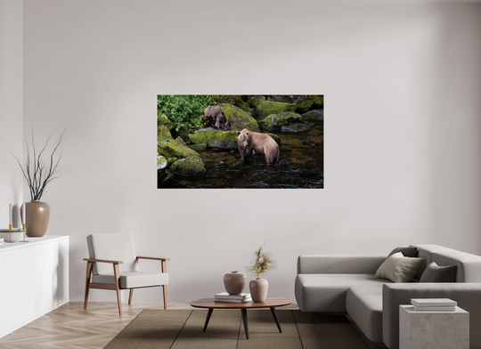 Alaskan Bear