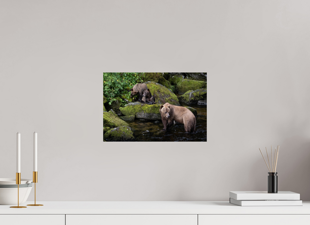 15 x 10″, Hahnemuhle Photo Silk Barta X Family Outing