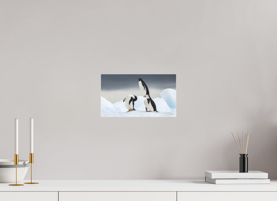 12 x 6.8″, Photo Print Under Matte Acrylic Glass Adelie Penguins - Preening