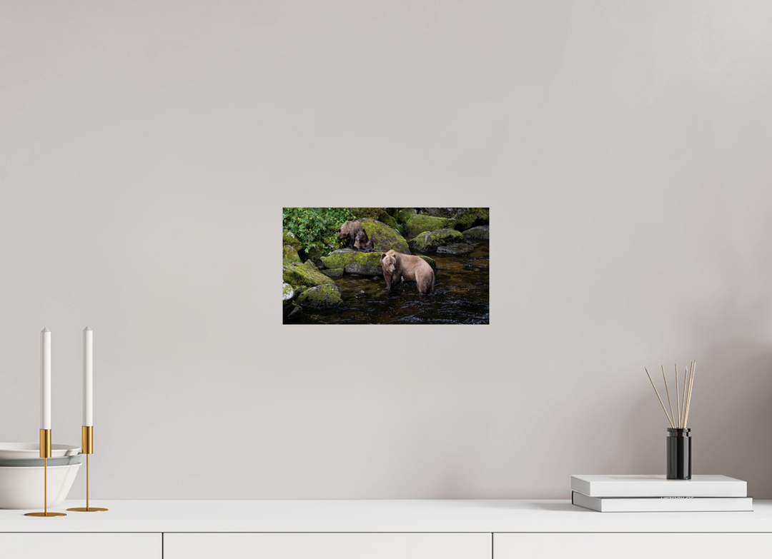 Alaskan Bear