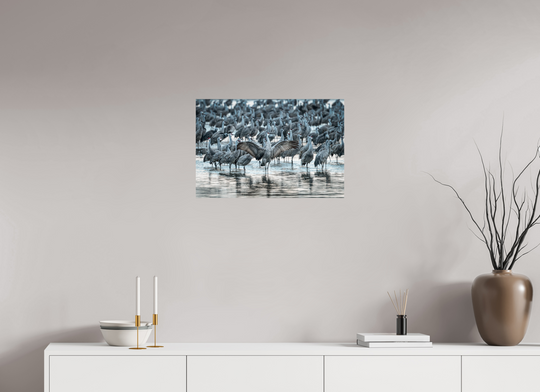 24 x 16″, Hahnemuhle Photo Silk Barta X Majestic